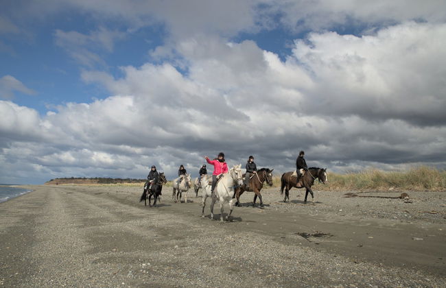 Paseo a caballo por la bahía de Agua Fresca - Foto 5