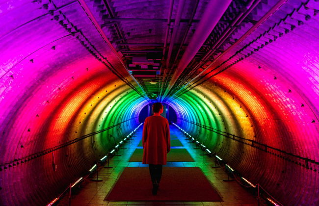 New York Botanical Garden Tickets - Foto 1