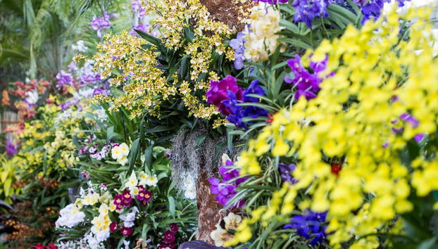 New York Botanical Garden Tickets - Foto 2