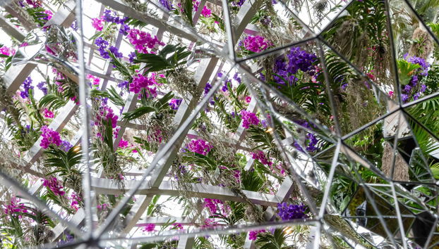 New York Botanical Garden Tickets - Foto 5