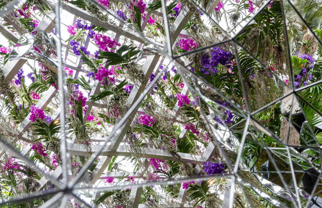 New York Botanical Garden Tickets - Foto 5