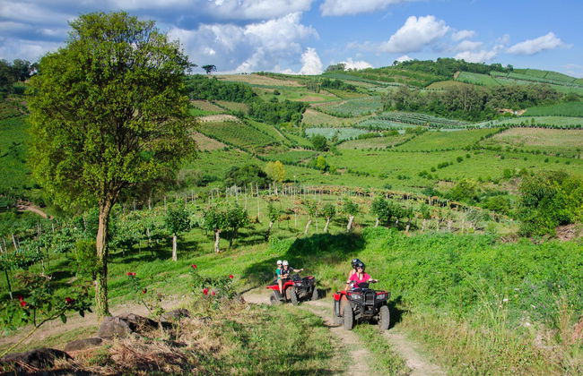 Tour in quad nella Vale dos Vinhedos - Foto 7