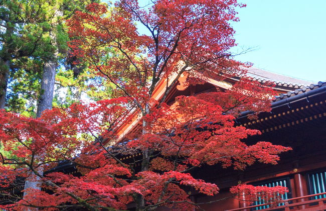 Nikko World Heritage Area Pass - Foto 8