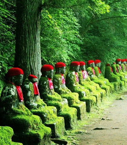 Foto - Nikko World Heritage Area Pass
