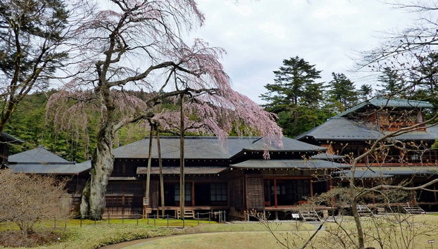 Nikko World Heritage Area Pass - Foto 4