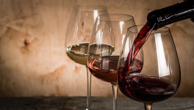 Wine Tasting at The Wine School - Photo 5