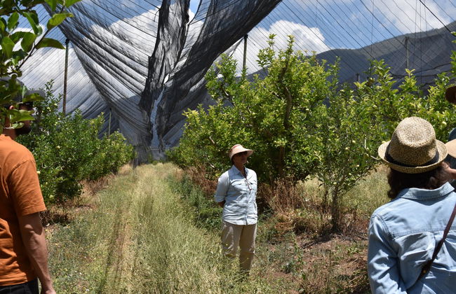 Apple Orchard Visit - Photo 1