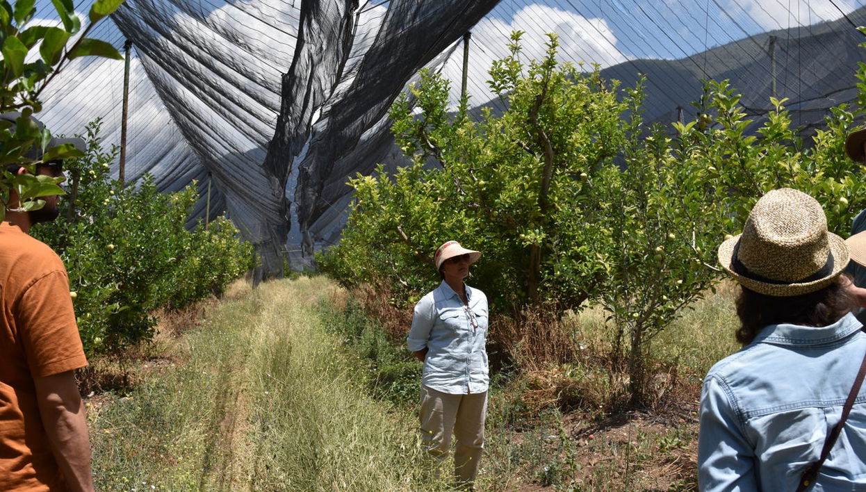 Apple Orchard Visit - Photo 1