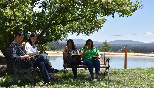 Apple Orchard Visit - Photo 3