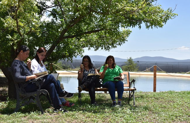 Apple Orchard Visit - Photo 3