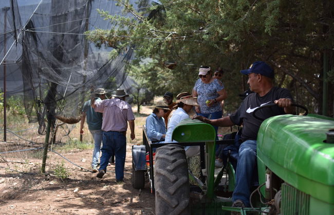 Apple Orchard Visit - Photo 2