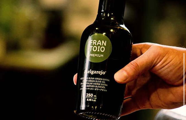 Jaén Olive Oil Tasting - Foto 7
