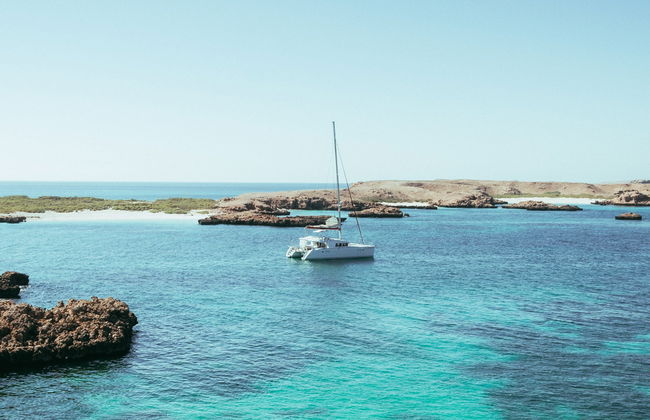Daymaniyat Islands Snorkelling - Photo 4