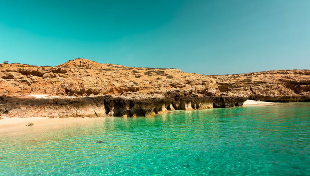 Daymaniyat Islands Snorkelling - Foto 2