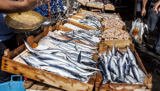 Visite guidée dans Catane + Dégustation de vins - Photo 4