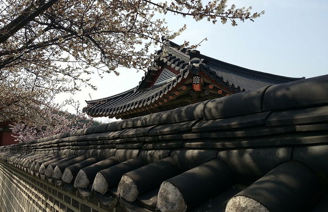 Koreanische Geschichte UNESCO Weltkulturerbe - Private Tour - Foto 6