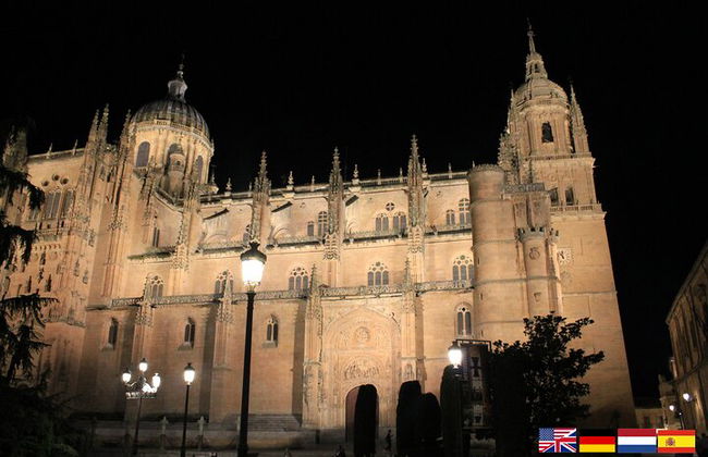 Tour a piedi serale di Salamanca bilingue - Foto 1