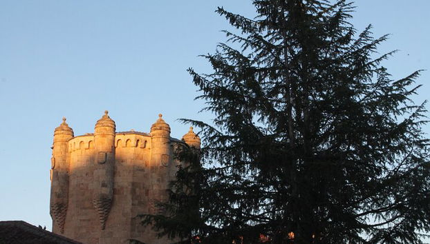 Tour a piedi serale di Salamanca bilingue - Foto 4