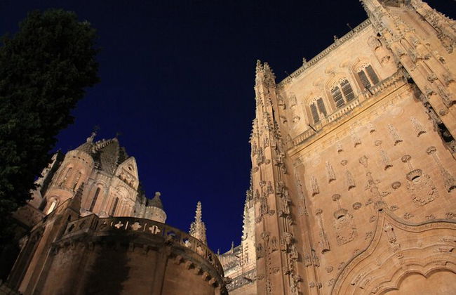 Tour a piedi serale di Salamanca bilingue - Foto 3