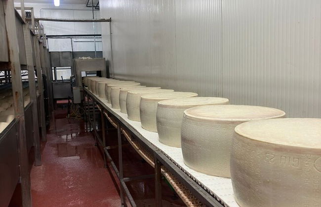 Ferrari-, Parmesan- und Balsamico-Tagestour ab Bologna - Foto 3