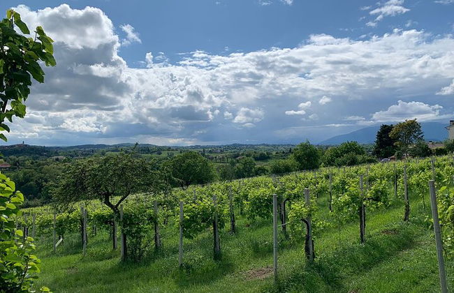 Premium Private Prosecco Hills Tour - 2 bodegas. Tour privado. - Foto 10