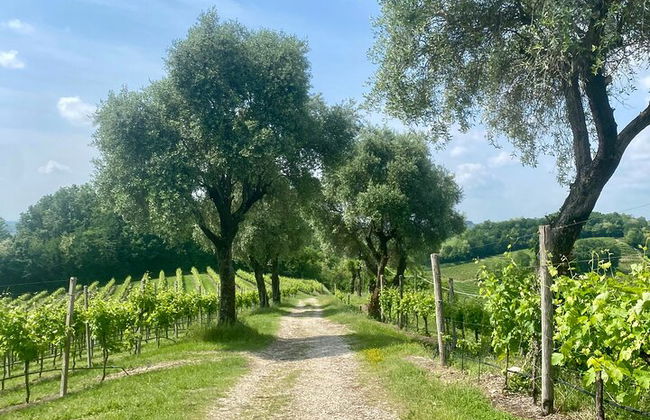 Premium Private Prosecco Hills Tour - 2 bodegas. Tour privado. - Foto 40