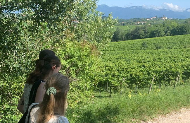 Premium Private Prosecco Hills Tour - 2 bodegas. Tour privado. - Foto 12