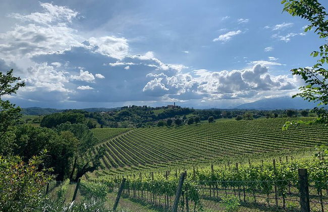 Premium Private Prosecco Hills Tour - 2 bodegas. Tour privado. - Foto 8