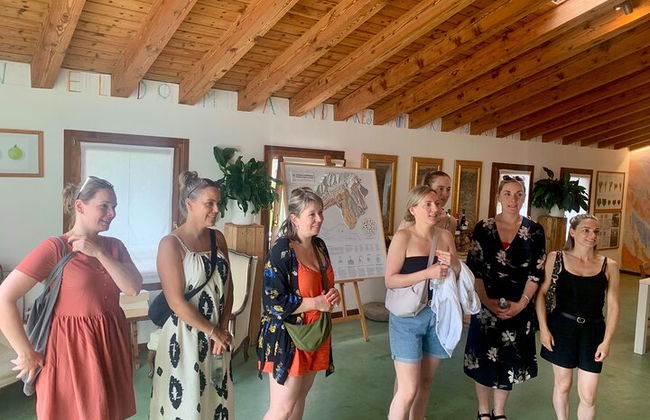 Premium Private Prosecco Hills Tour - 2 bodegas. Tour privado. - Foto 44