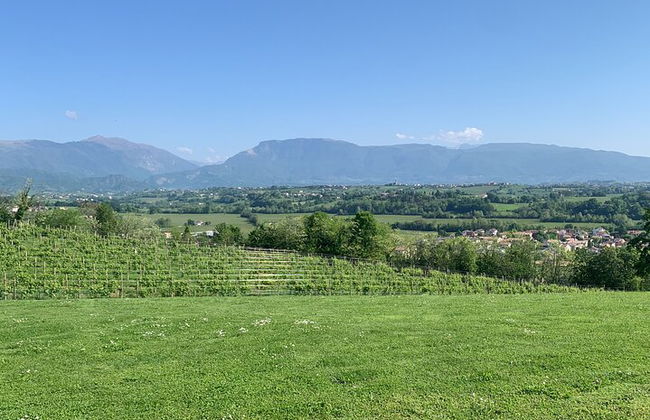 Premium Private Prosecco Hills Tour - 2 bodegas. Tour privado. - Foto 17