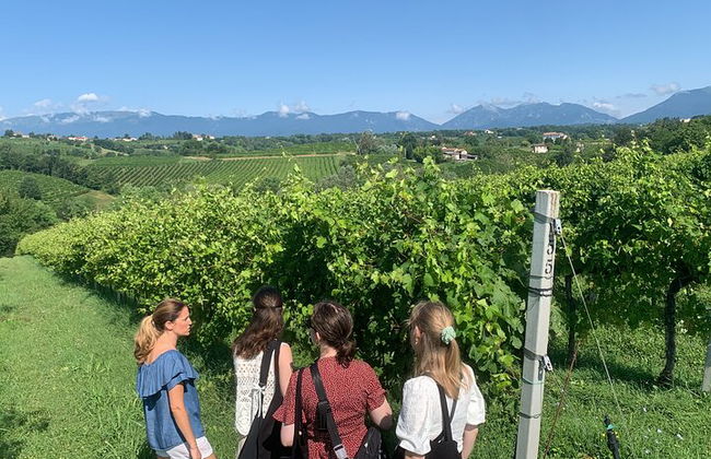 Premium Private Prosecco Hills Tour - 2 bodegas. Tour privado. - Foto 1