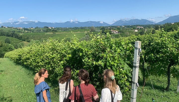 Premium Private Prosecco Hills Tour - 2 bodegas. Tour privado. - Foto 1