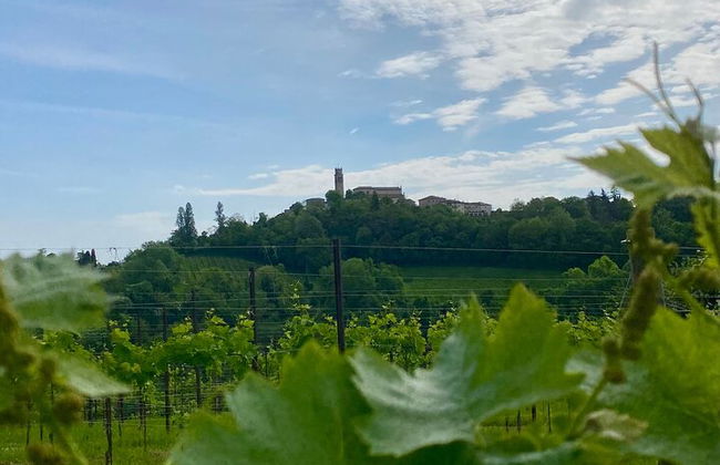 Premium Private Prosecco Hills Tour - 2 bodegas. Tour privado. - Foto 15