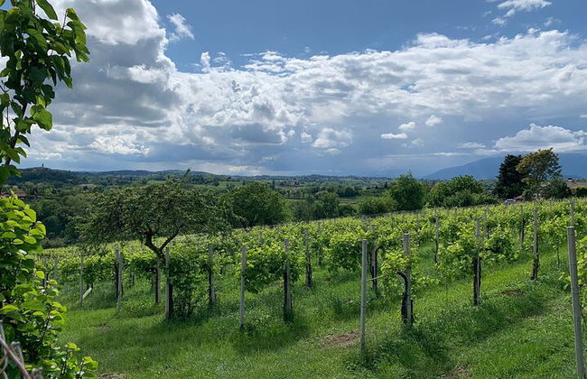 Premium Private Prosecco Hills Tour - 2 bodegas. Tour privado. - Foto 34