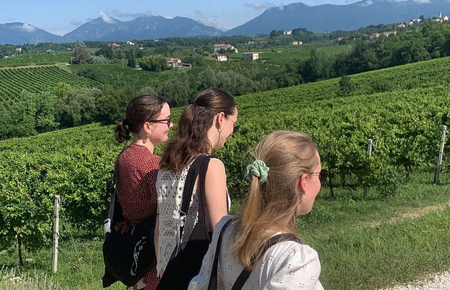 Premium Private Prosecco Hills Tour - 2 bodegas. Tour privado. - Foto 11