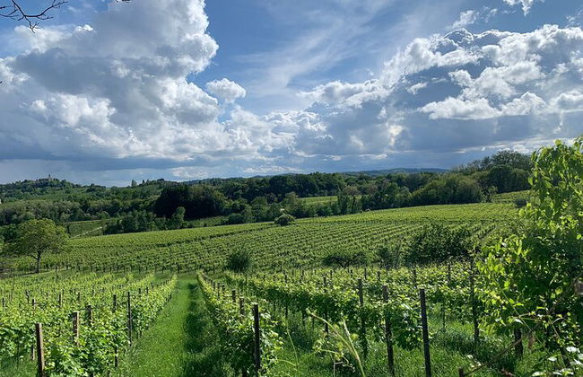 Premium Private Prosecco Hills Tour - 2 bodegas. Tour privado. - Foto 9