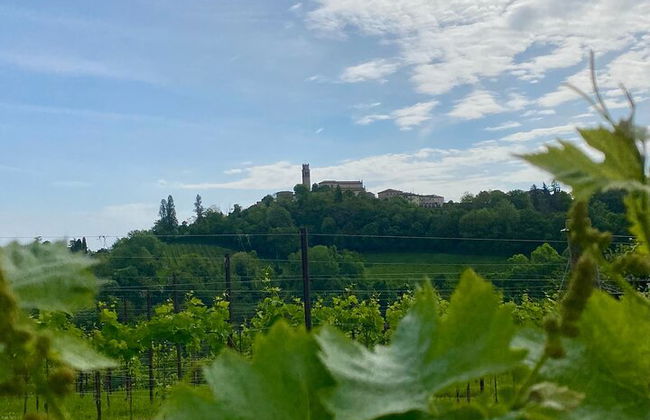 Premium Private Prosecco Hills Tour - 2 bodegas. Tour privado. - Foto 49