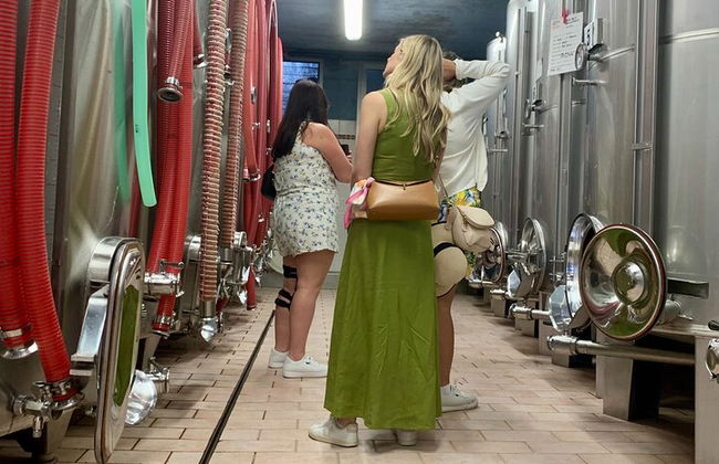 Premium Private Prosecco Hills Tour - 2 bodegas. Tour privado. - Foto 42