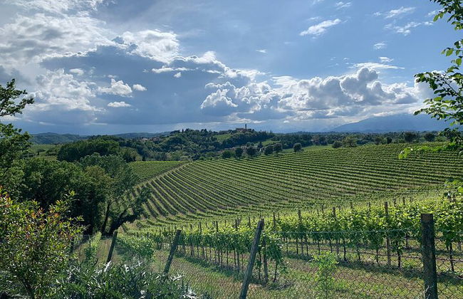 Premium Private Prosecco Hills Tour - 2 bodegas. Tour privado. - Foto 35