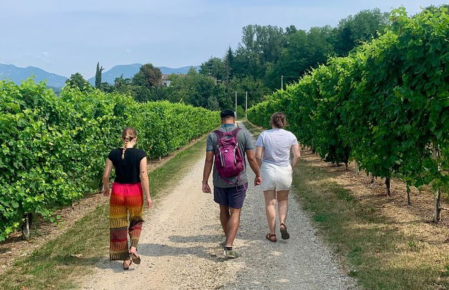 Premium Private Prosecco Hills Tour - 2 bodegas. Tour privado. - Foto 41