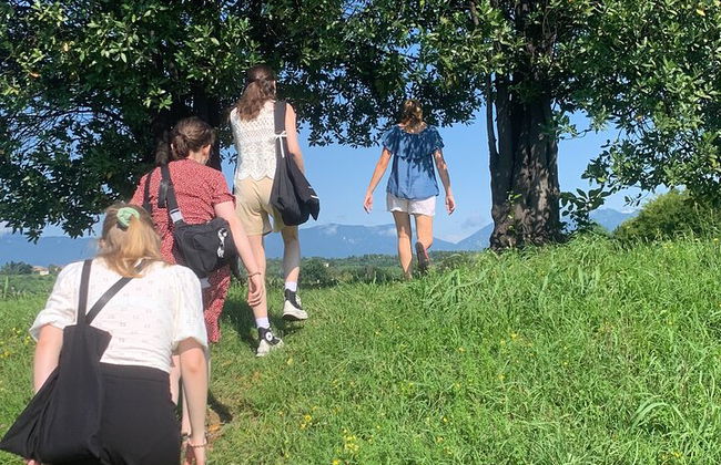 Premium Private Prosecco Hills Tour - 2 bodegas. Tour privado. - Foto 13