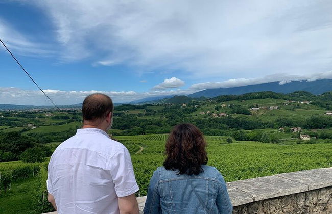 Premium Private Prosecco Hills Tour - 2 bodegas. Tour privado. - Foto 3