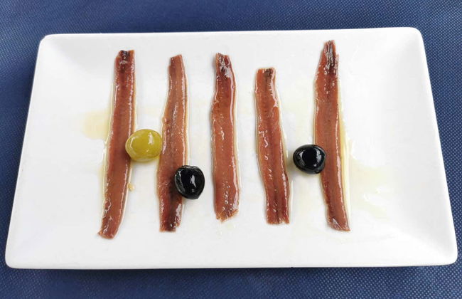 Tour of Port and Fish Market in Santoña + Anchovy Museum - Foto 7