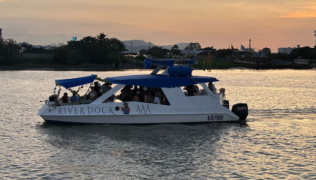 Enjoy a sunset cruise on a catamaran