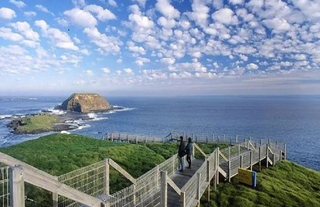 Discover Phillip Island - Full-Day Tour - Photo 4