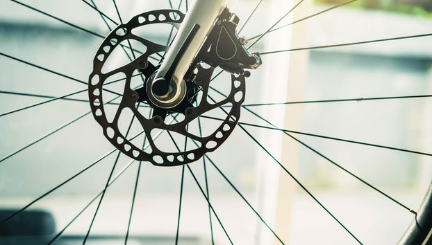 Electric Bike Tour + Moose Watching - Photo 4