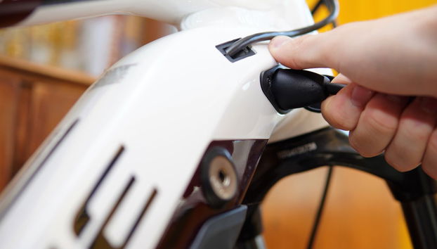 Electric Bike Tour + Moose Watching - Photo 3