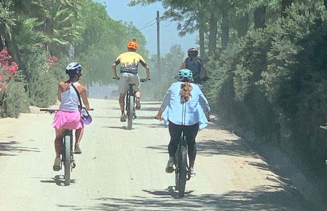 Tour de bicicleta pelos vinhedos do Valle de Guadalupe - Foto 5