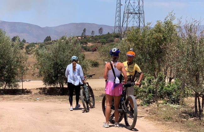 Tour de bicicleta pelos vinhedos do Valle de Guadalupe - Foto 6