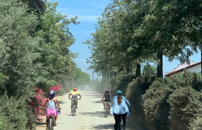 Tour de bicicleta pelos vinhedos do Valle de Guadalupe - Foto 8